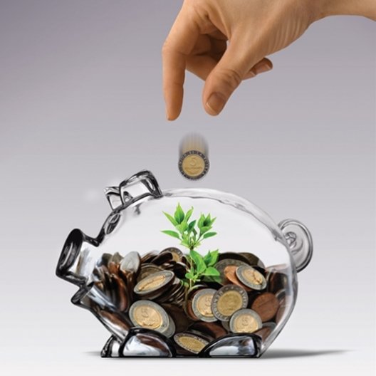 Bienestar Financiero